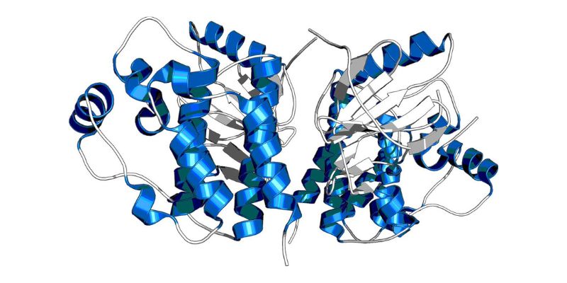 アルファベットのAI創薬企業 Isomorphic Labs が、ノバルティスとの低分子治療薬創製の共同研究を開始