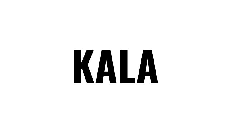 【KALA】KALA BIO カタリストとロードマップ